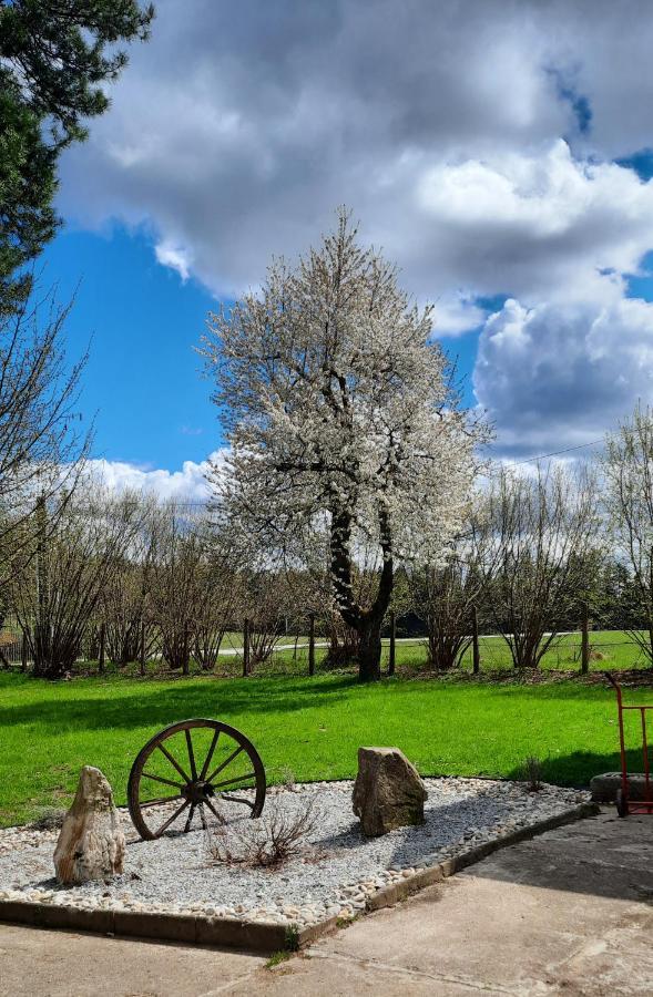 Penzion U Statku Lodherov Exterior foto